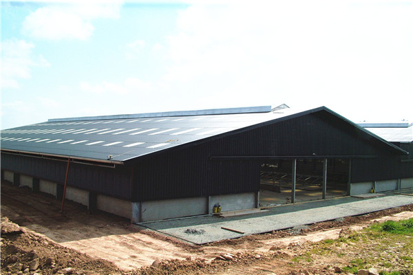 cattle shed