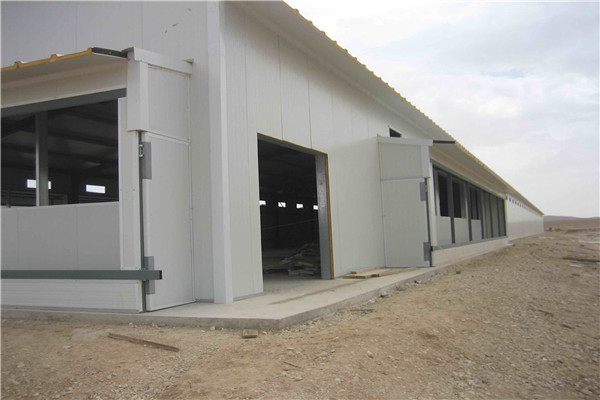 commercial chicken shed