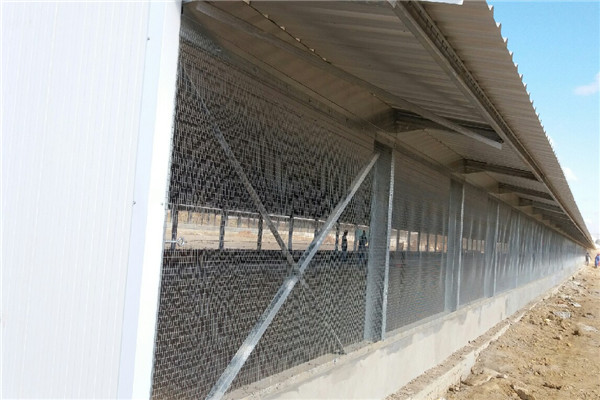 commercial chicken shed